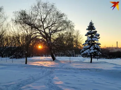 В Назарово с 1 февраля начнут убирать новогоднюю иллюминацию и елки »  Запад24