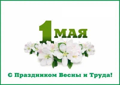 Поздравление с 1 мая - Праздником весны и труда ректора Е. Ю. Перовой ФГБОУ  ВО "Восточно-Сибирский государственный институт культуры"