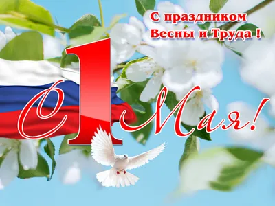 С праздником 1 мая!