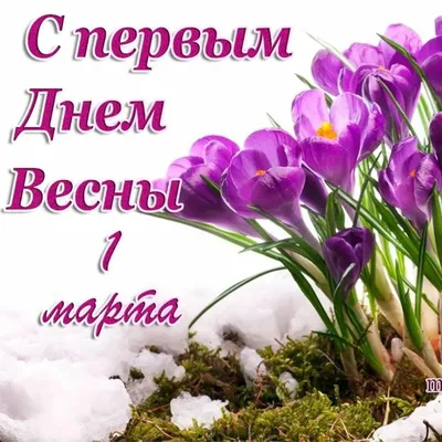 Подарок на 1 марта