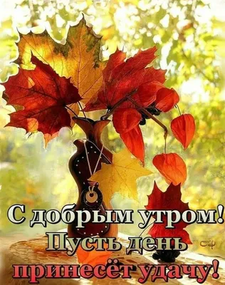 1 октября — День пожилого человека. — Калужский областной клинический  онкологический диспансер