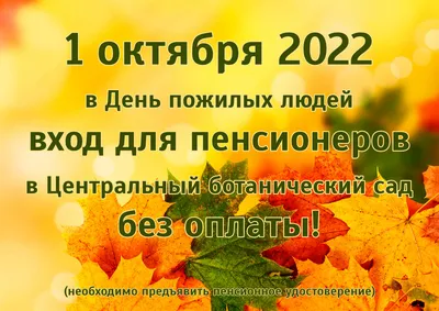 Первый день октября – особенный праздник, это день уважения и почитания  пожилого человека – Белорусский национальный технический университет  (БНТУ/BNTU)