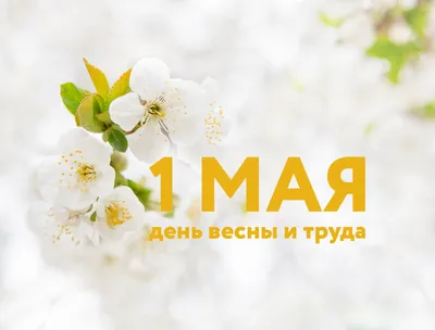 С 1 мая! С Днем весны и труда! | УО «Витебская ордена «Знак Почета»  государственная академия ветеринарной медицины"