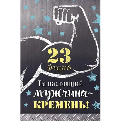 ПОЗДРАВЛЕНИЕ ДИРЕКТОРА С 23 ФЕВРАЛЯ » БПФ ГОУ «ПГУ им. Т.Г. Шевченко» -  Официальный сайт