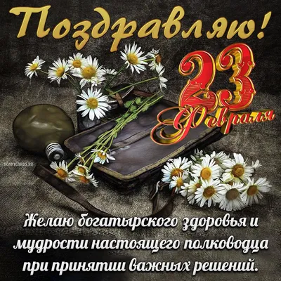 23 февраля открытки. Лучшие анимационные картинки