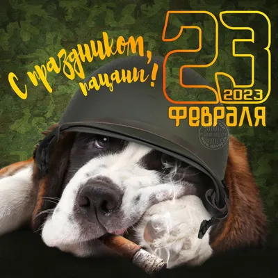 Картинки с надписями "С 23 Февраля!" (612 шт.)