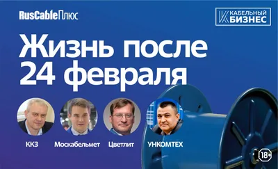 Жизнь после  года. Как чувствуют себя предприятия  электротехнической отрасли? Анализ происходящего и мнения о будущем