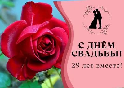 Подарочный диплом "С днем бархатной свадьбы. 29 лет свадьбы" Фабрика  подарков БлагоДарю 143832440 купить в интернет-магазине Wildberries