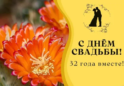 32 года, годовщина свадьбы: поздравления, картинки - медная свадьба (12  фото) 🔥 Прикольные картинки и юмор