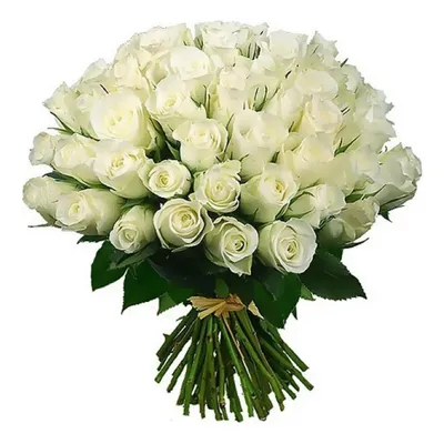 Купить Белые розы Atena в Минске с доставкой из цветочного магазина