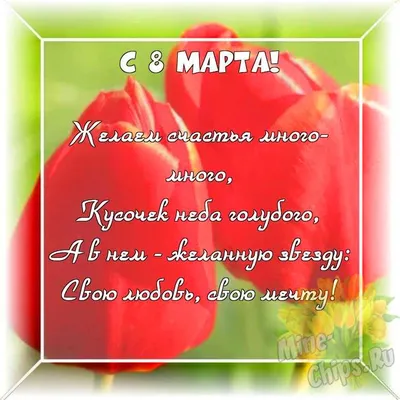 Что подарить на 8 Марта: наиболее интересные идеи подарков | Советы  Интернет-магазин Satin