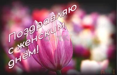 Поздравления с 8 Марта дочери 💐 – самые лучшие пожелания