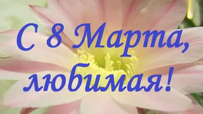 Для Любимой 8 марта - 8 марта - Праздничная анимация - Анимация - SuperGif