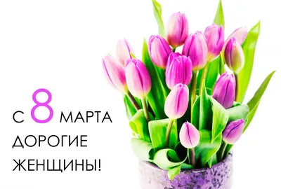 С 8 марта дорогие женщины!