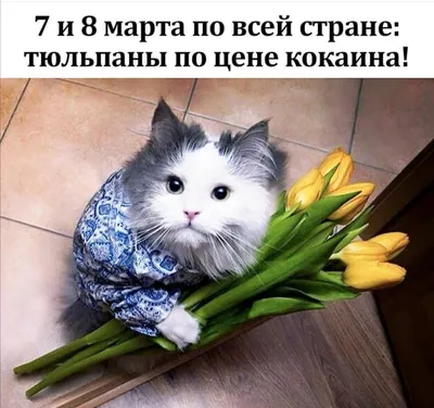 Анекдоты к 8 марта!