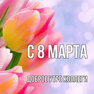 С 8 Марта, дорогие коллеги!