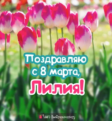 Букет лилий лилии заказать в Гродно: доставка, цена, фото