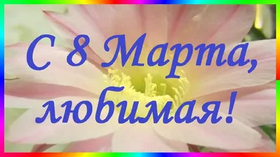 Любимая жена с 8 марта картинки скачать бесплатно