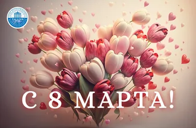 С праздником 8 Марта, милые девушки! - Белый дом краска, эмаль,  декоративная шпаклевка в Алматы, Астана