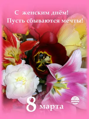 8 Марта 2019: картинки, красочные открытки, короткие поздравления с  Международным женским днем