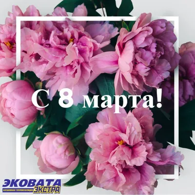 Открытки с 8 марта | Розовые пионы | Бирки на подарок | Шаблон для  распечатки