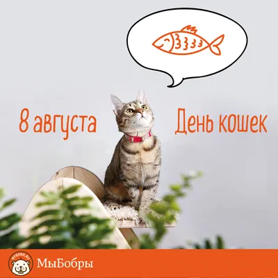 Клуб любителей кошек "BEST"