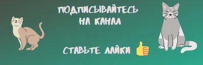 Анимированные открытки с 8 Марта - 7 Марта 2012 - Коты и кошки.