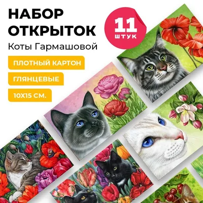 Картинка "Доброе утро" с тремя смешными котами • Аудио от Путина,  голосовые, музыкальные