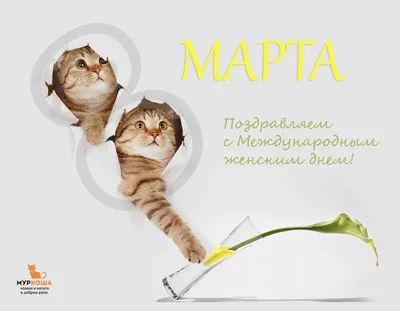 Котёнок, с 8 марта! - Скачайте на 