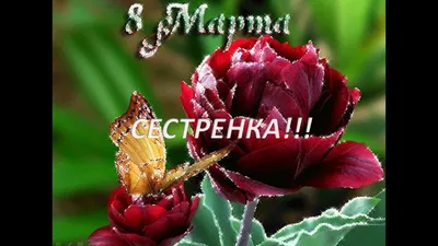 Открытки 8 марта международный женский день