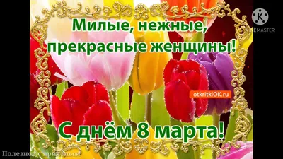 ПОЗДРАВЛЕНИЕ СЕСТРЁНКИ С 8 МАРТА !!! - YouTube | Сестренки, Март,  Праздничные цитаты