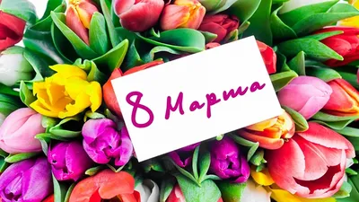 Фотозона на 8 марта в детском саду. Купить фотозону в Москве