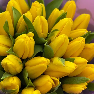 С 8 марта, дорогие девушки! На фото желтые тюльпаны ручной работы. | Желтые  тюльпаны, Тюльпаны, Цветы из глины