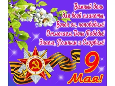 9 МАЯ – ДЕНЬ ПОБЕДЫ!