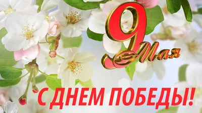 9 Мая - День Победы! |