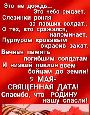 Стихи на 9 Мая для детей: подборка для сада и школы