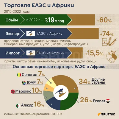 Путин: Россия выступает за сотрудничество с Африкой в борьбе с терроризмом  | В России | Политика | Аргументы и Факты