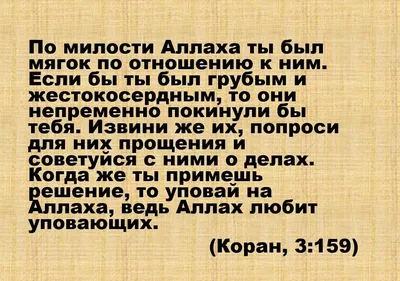 Лечение аятами Корана и помощь в повседневных нуждах | Хазрат Мавлана Ашраф  Али Тханави, Мухаммад Рафик Мавлана Ахмад Хатхурани - купить с доставкой по  выгодным ценам в интернет-магазине OZON (268948384)