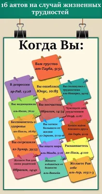 Иллюстрация 4 из 25 для Лечение аятами Корана и помощь в повседневных  нуждах - Хазрат, Мухаммад |