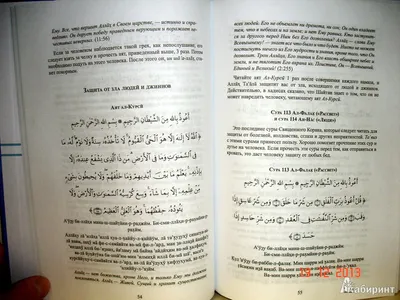 Иллюстрация 20 из 25 для Лечение аятами Корана и помощь в повседневных  нуждах - Хазрат, Мухаммад |