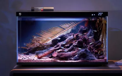 Аквариум, с разноцветными рыбками, с…» — создано в Шедевруме