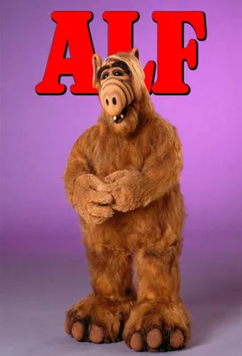 Alf | Sitcom вики | Fandom