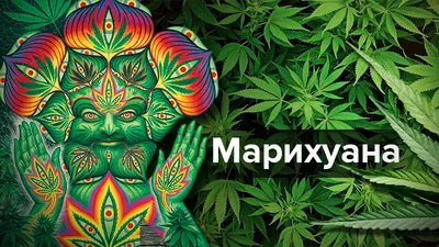 За гранью реальности: что чувствует человек под действием марихуаны - 24  Канал