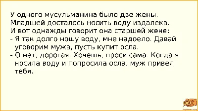 Анекдоты про мужа и жену | Смешно и Умно | Дзен