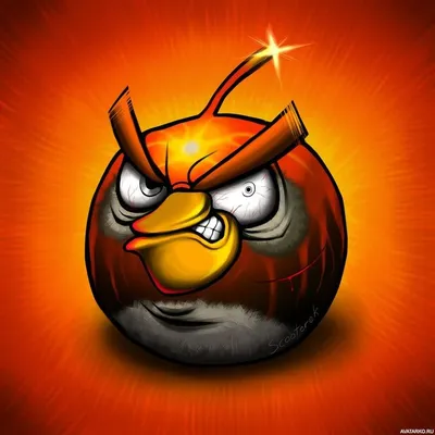 Birds - The Angry Bird King | Angry birds, Bird drawings, Angry bird