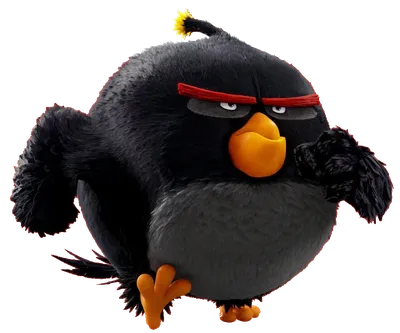 Bomb/Gallery | Angry bird pictures, Angry birds characters, Angry birds