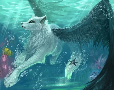 Pin by Nast Wol on Арт сказочных волков | Anime wolf drawing, Wolf drawing,  Wolf wallpaper