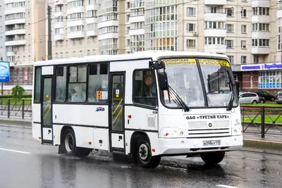 Городской автобусный парк пополнится новыми автобусами — Новости Шымкента