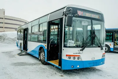 Первый маршрут с новыми автобусами в Астрахани запустят в четверг | АРБУЗ