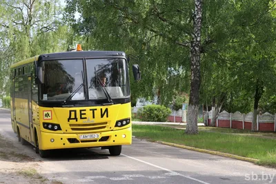 Число пострадавших при ДТП с автобусами во Владивостоке выросло до семи -  РИА Новости, 